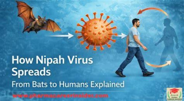 Understanding the Viral Kand Website: How Digital Content Spreads Rapidly