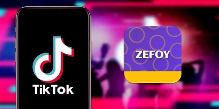 Understanding Zefoy: A Look at TikTok Growth Tools