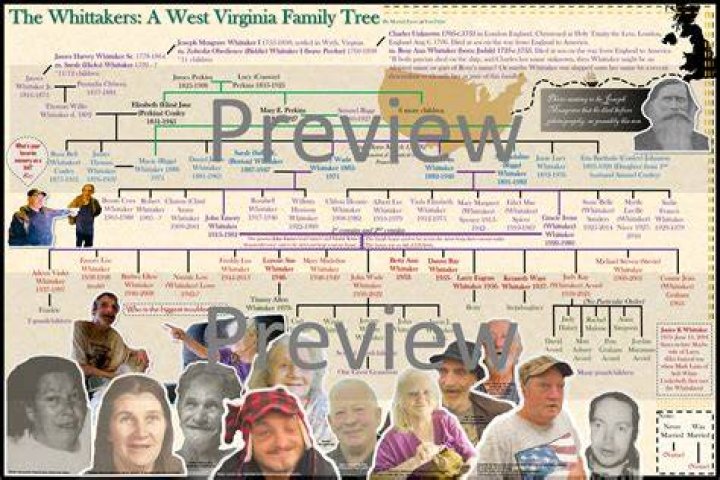 Unearthing the Whitaker Family Tree: Tracing Notable Legacies and Community Roots