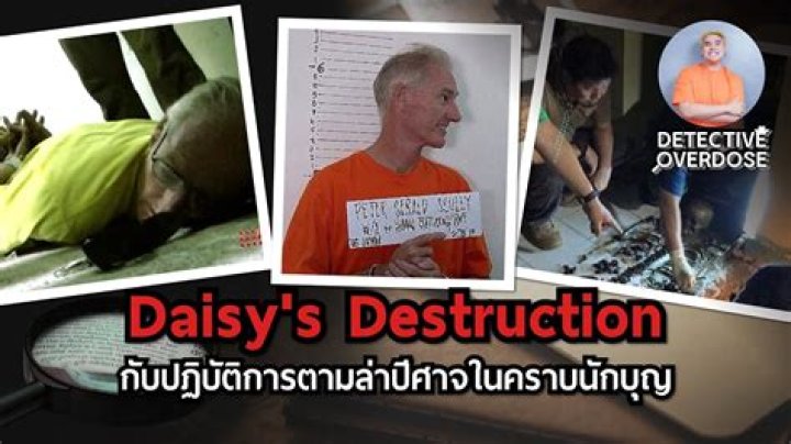 Unpacking Daisy's Destruction: The Enduring Internet Mystery