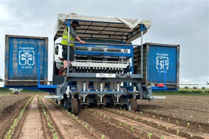 Unpacking the 'Jameliz Asshole' in Checchi &amp; Magli Transplanters: Precision Planting Insights