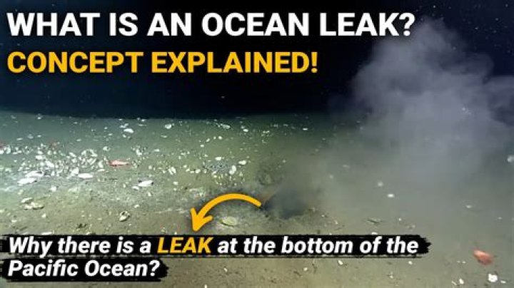 Unpacking the **Leaked Paleseafoam** Controversy: A Look at Digital Privacy