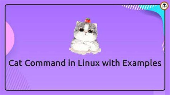 Unraveling the `cat` Command: A `cat deely` Dive into Its Many Uses Today