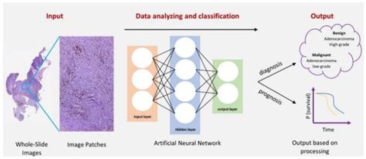Unveiling the Impact of Desi MMS: A Comprehensive Analysis