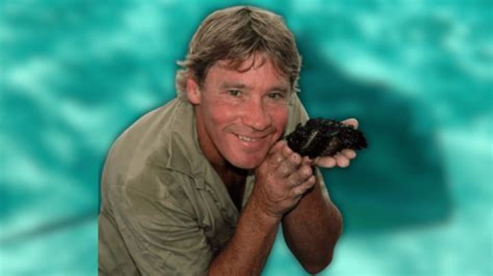 Unveiling the Truth Behind Steve Irwin's Death: A Comprehensive Analysis