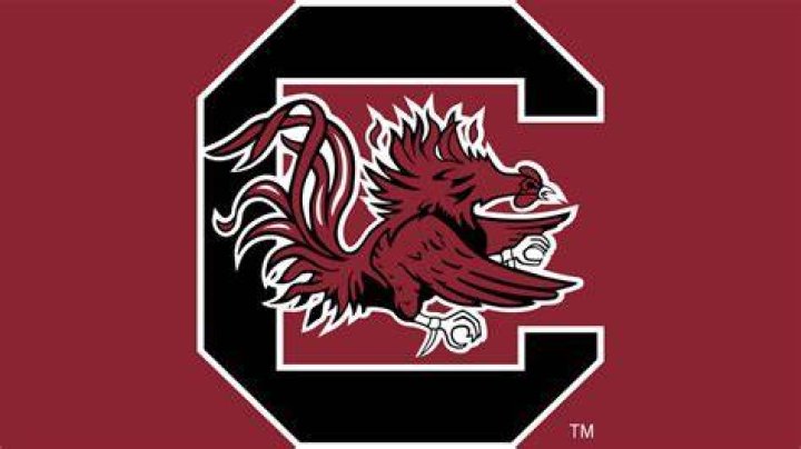USC Gamecocks Wallpaper: Your Ultimate Guide to Gamecock Spirit