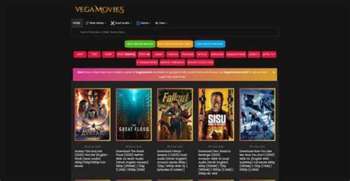 Vegamovies.pet: Legit or Scam? Safety & Alternatives in 2024