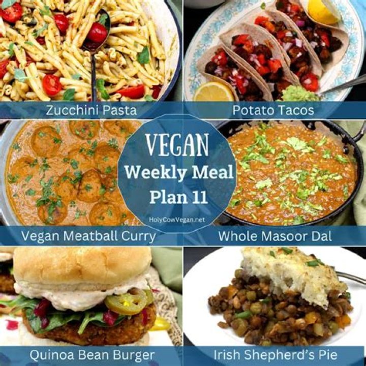 VegMovies: Streaming Alternatives & Where to Watch Vegan Films