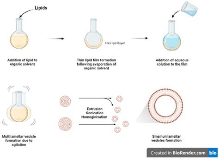 Viral MMS Leaked: Understanding the Phenomenon and Its Impact