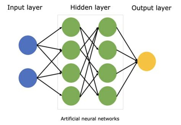 What's That? It's PATNL: Unveiling the Potential of Personalized Artificial Neural Learning