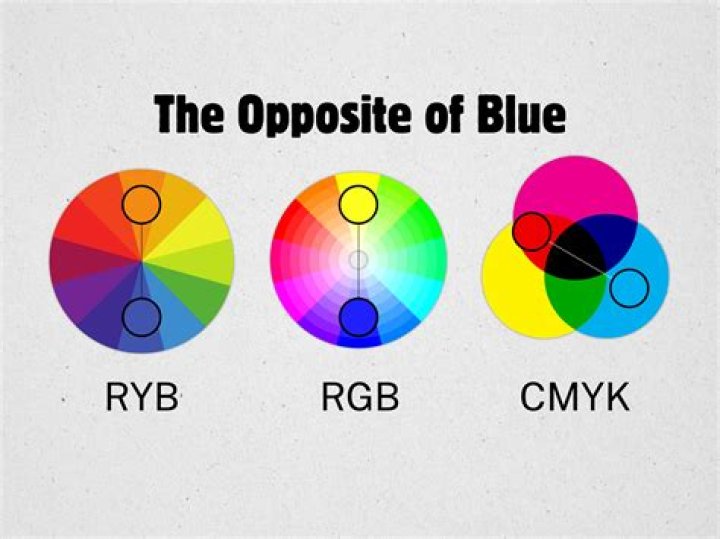What's the Opposite of Blue: A Comprehensive Exploration