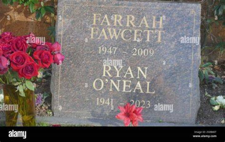 What Does Farrah Fawcett's Son Do? Exploring the Life and Career of Redmond O'Neal