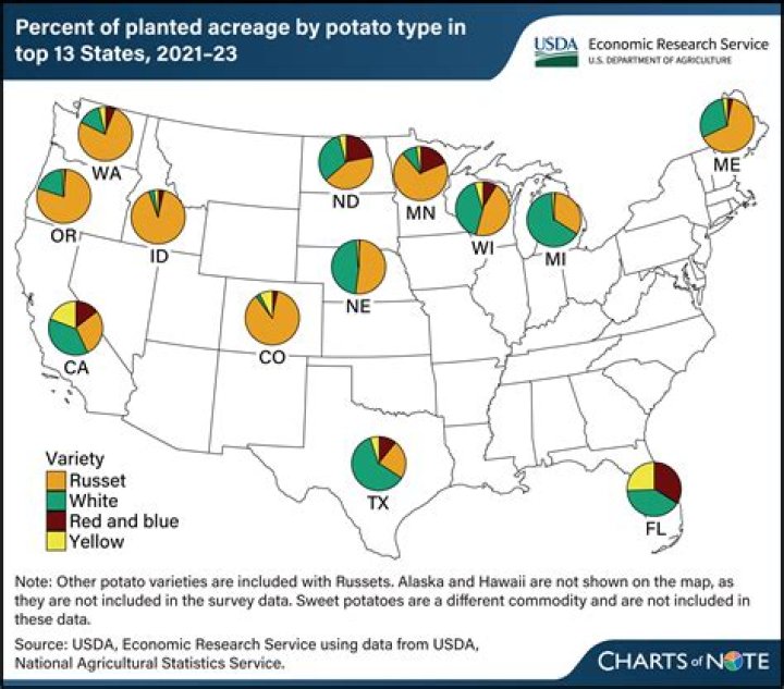 Which States Produce the Most Potatoes? A Comprehensive Guide
