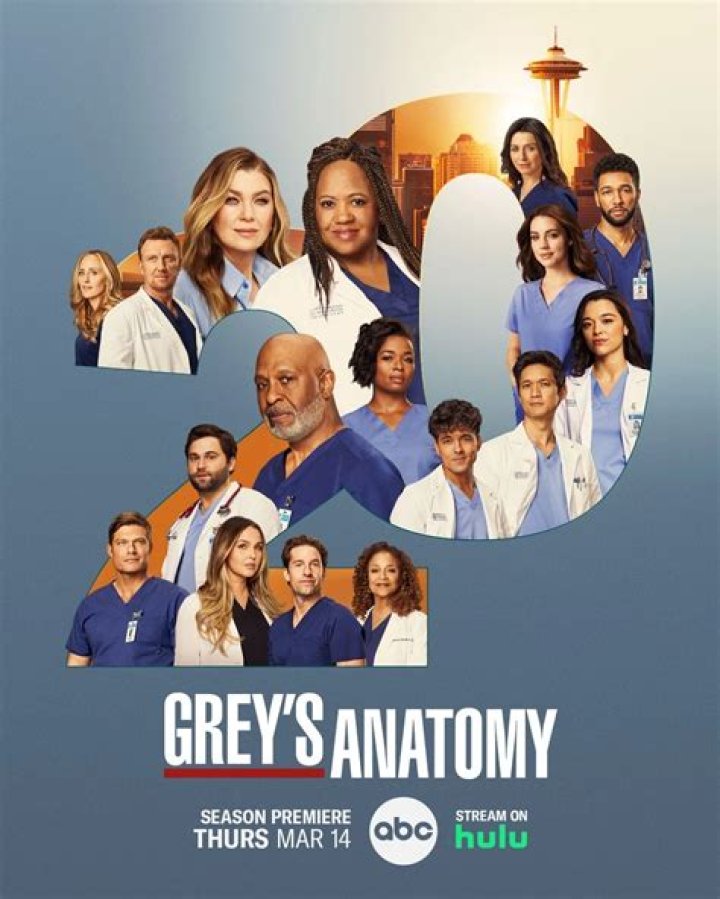 Why Did Callie Leave Grey's Anatomy? The Real Reason Behind Sara Ramirez's Departure