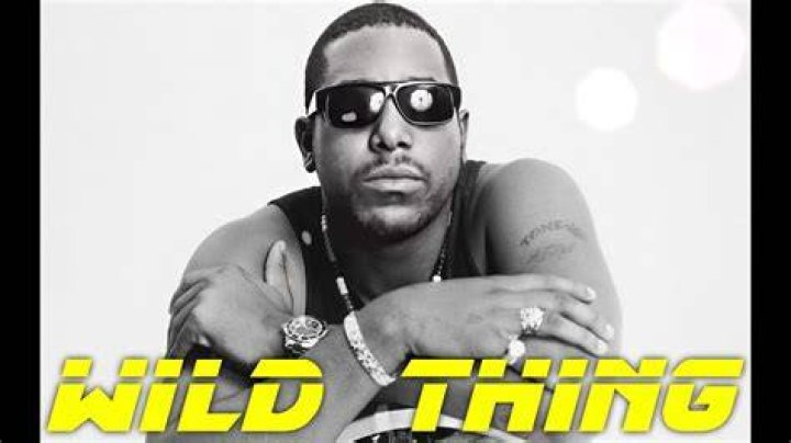 Wild Things Tone Loc Lyrics: A Deep Dive into the Iconic Song