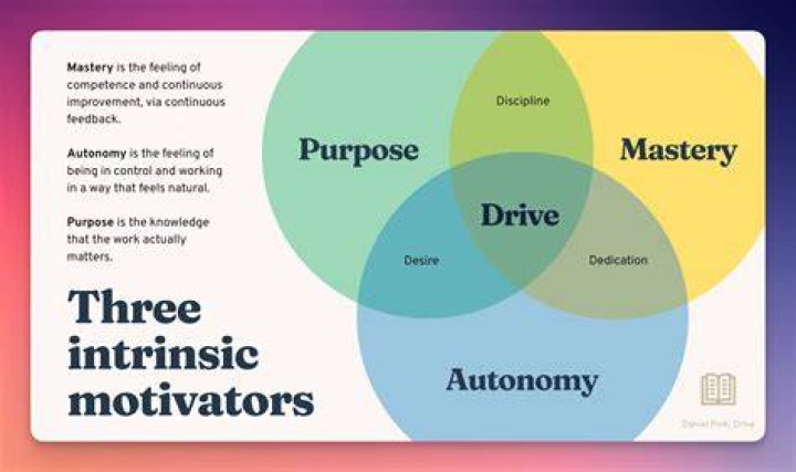 Wisam.Sharieff: A Look into Digital Mastery and Automotive Elegance