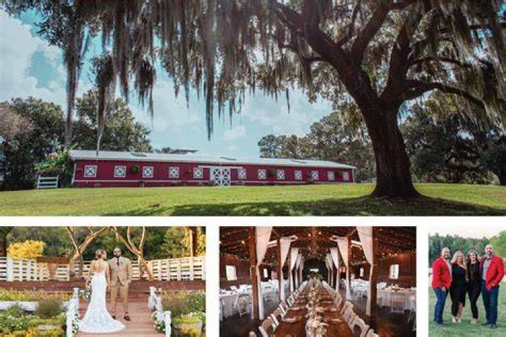 ymaal.com: Your New Go-To for Unforgettable Events and Dream Getaways