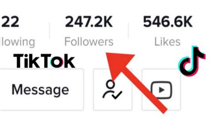 Zefoy: The Ultimate Guide to TikTok Followers and Views